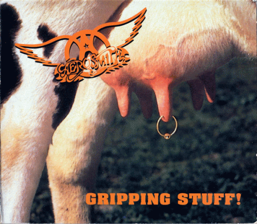 Aerosmith : Gripping Stuff !